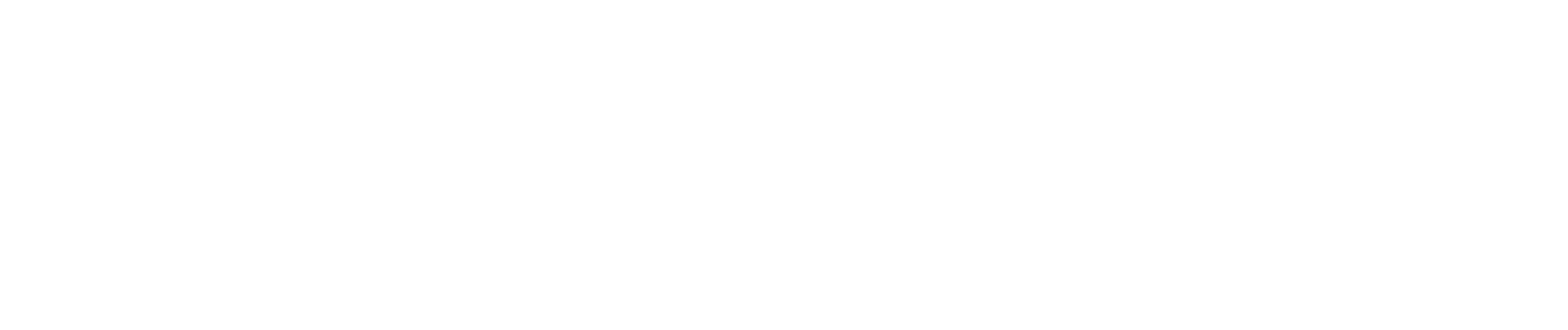 Logo-Caveng blanc